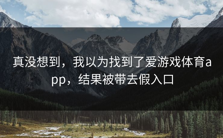 真没想到，我以为找到了爱游戏体育app，结果被带去假入口