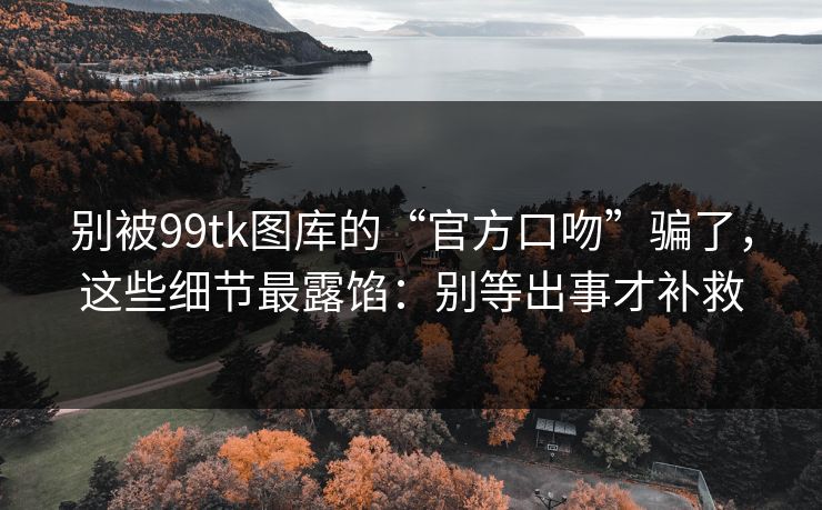 别被99tk图库的“官方口吻”骗了，这些细节最露馅：别等出事才补救