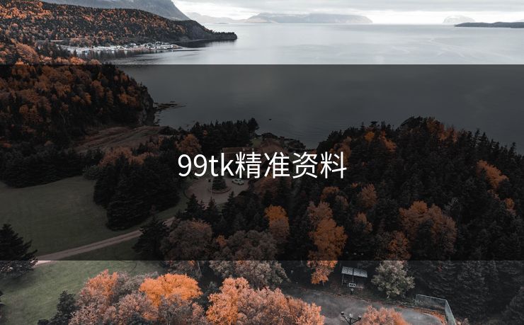 99tk精准资料 99tk精准资料